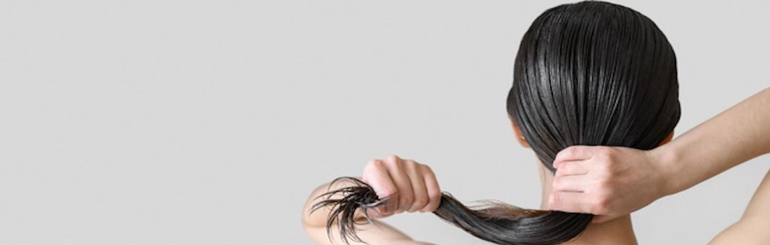 Services Shampooing & soins